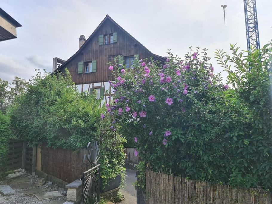 3 Bedroom Swiss House On 3 Floors Oberglatt Exterior photo