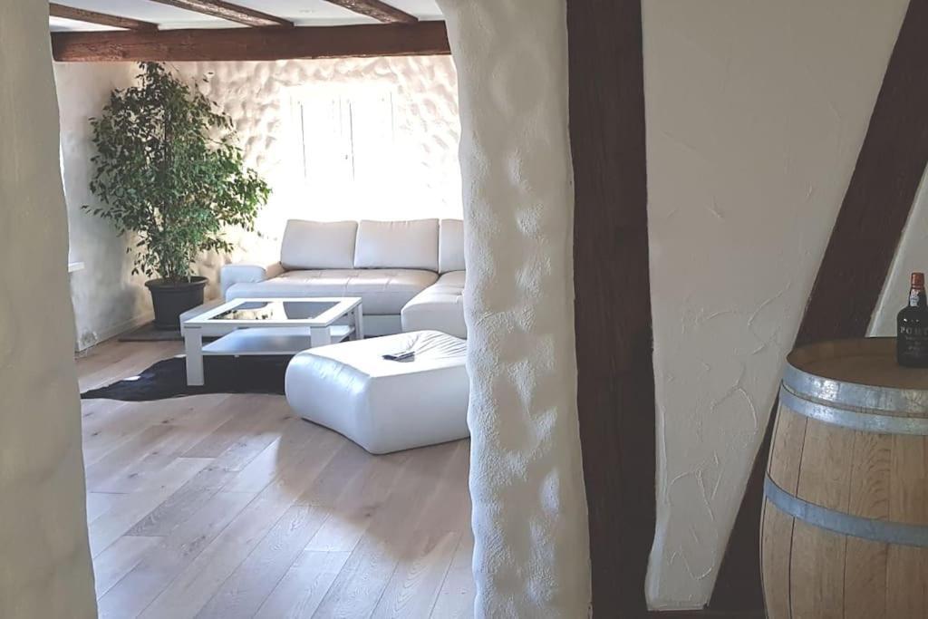 3 Bedroom Swiss House On 3 Floors Oberglatt Exterior photo