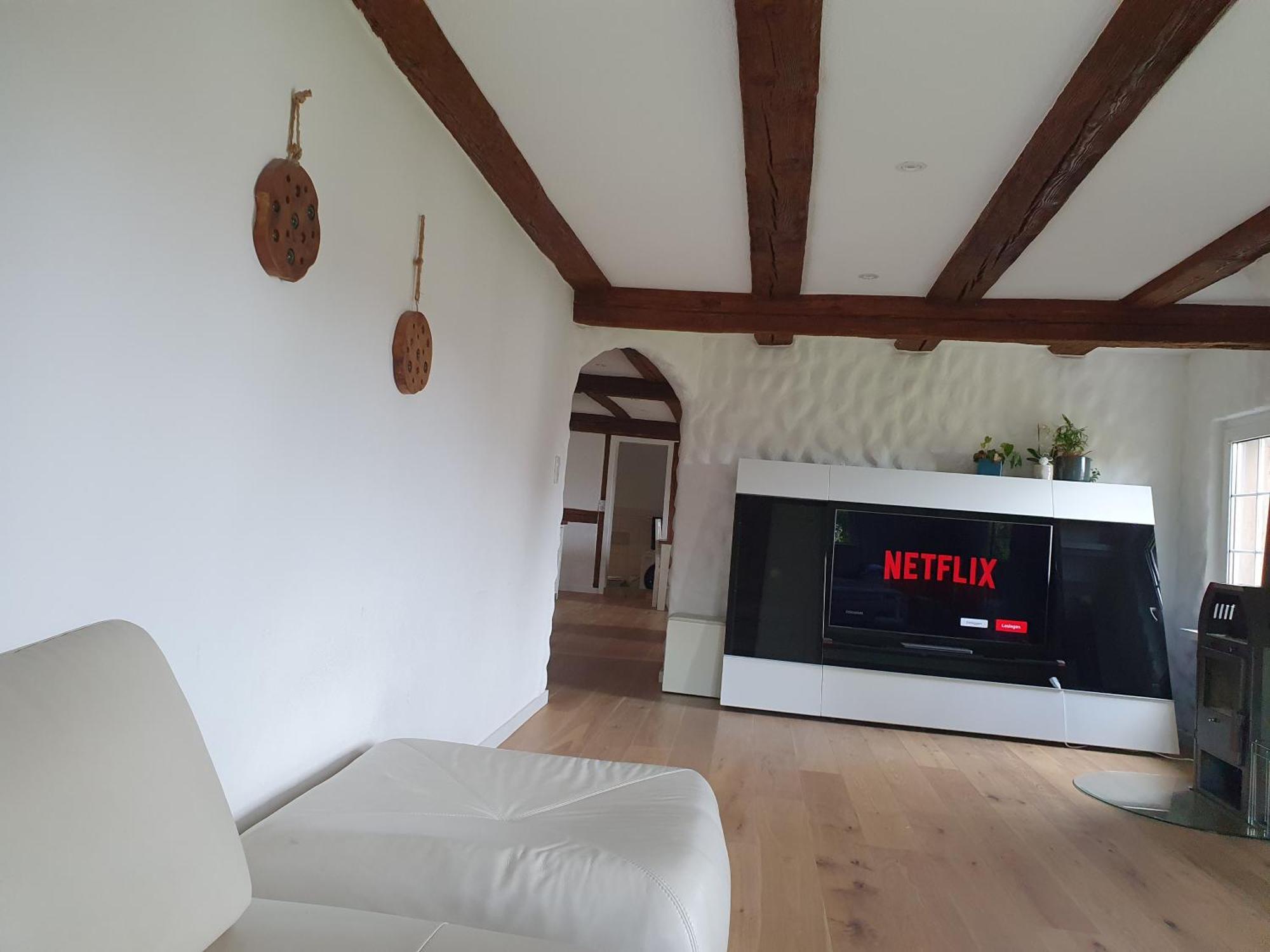 3 Bedroom Swiss House On 3 Floors Oberglatt Room photo